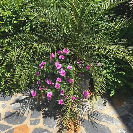 Apartamento Kela